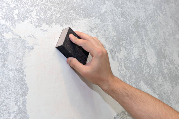 Best Basement Mold Removal  in Sebree, KY