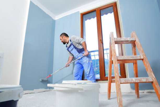 Best Comprehensive Air Testing for Mold Contaminants  in Sebree, KY