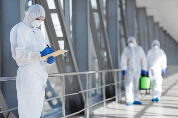 Environmental Consulting for Mold Prevention in Sebree, KY