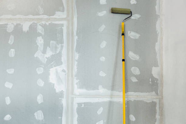Best Water Damage & Mold Remediation  in Sebree, KY