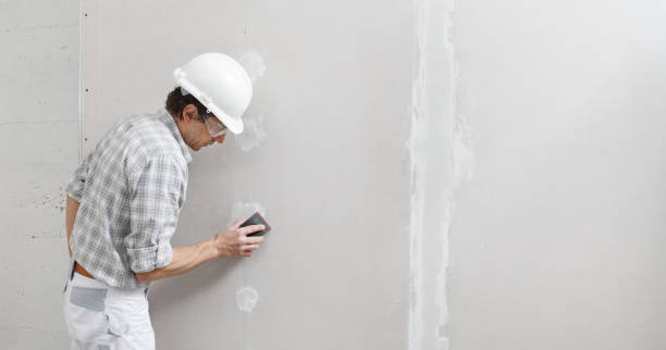 Best Mold-Related Health Consultation  in Sebree, KY