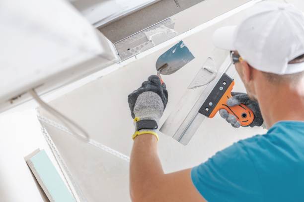 Trusted Sebree, KY Mold Removal Experts